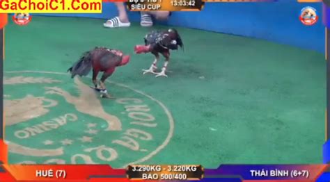 C1 THOMO – 20/04/2024 HÀ NỘI VS BÌNH THUẬN .